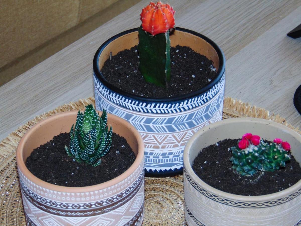 The Orange Cactus Apartment Sparta Ngoại thất bức ảnh